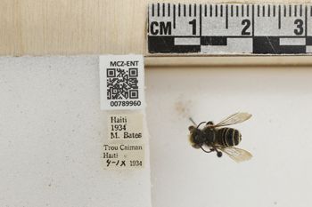 Media type: image;   Entomology 789960 Aspect: Labels